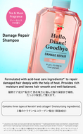 Load image into Gallery viewer, Hello, Diane! Goodbye Damage Repairing Shampoo
