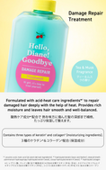 Load image into Gallery viewer, Hello, Diane! Goodbye Damage Repairing Treatment
