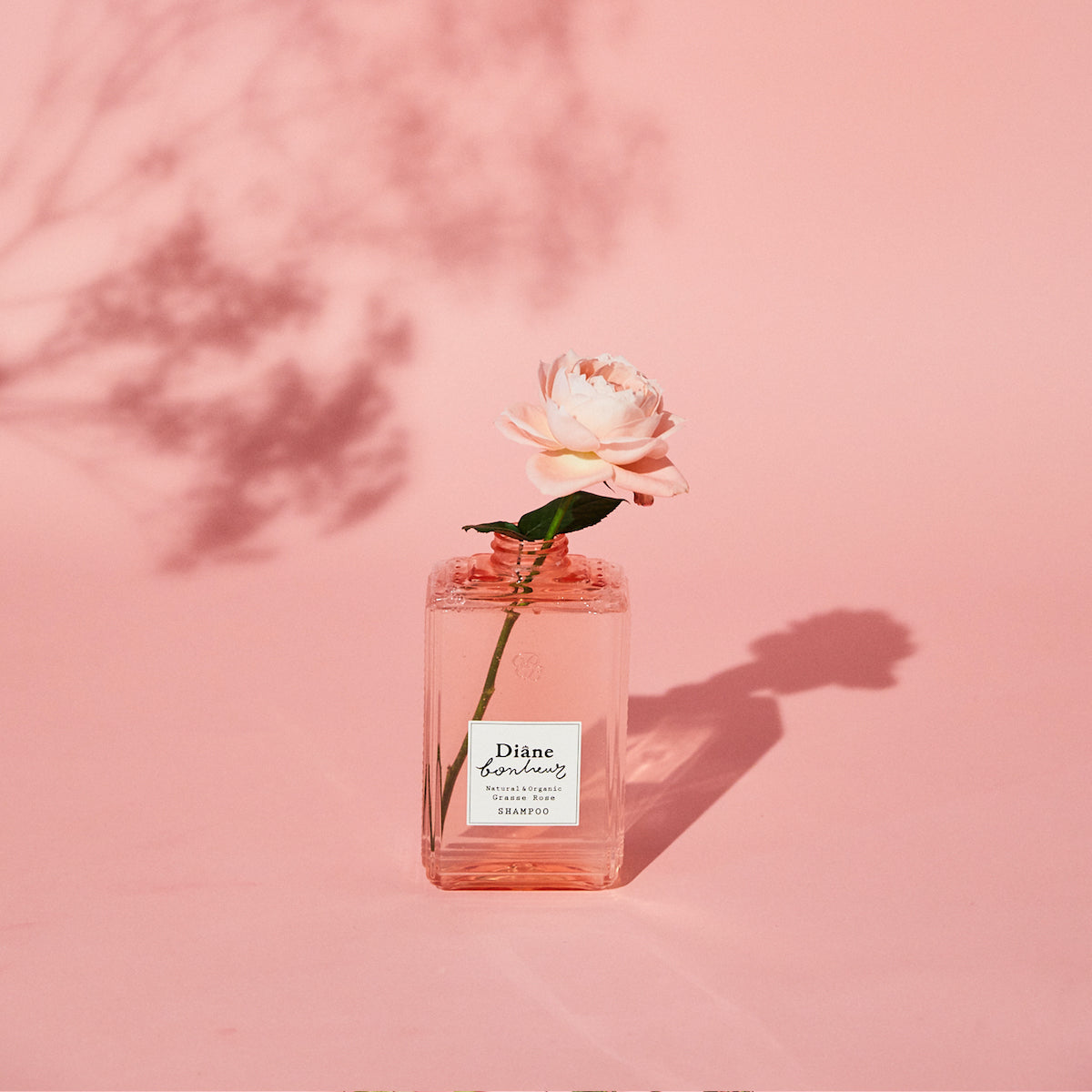 Rose stood in Bonheur Grasse Rose Shampoo bootle