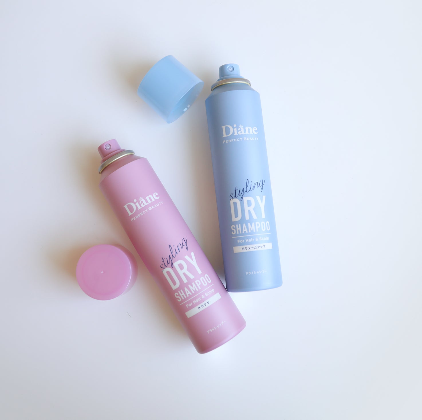 Perfect Beauty Styling series Dry Shampoo 